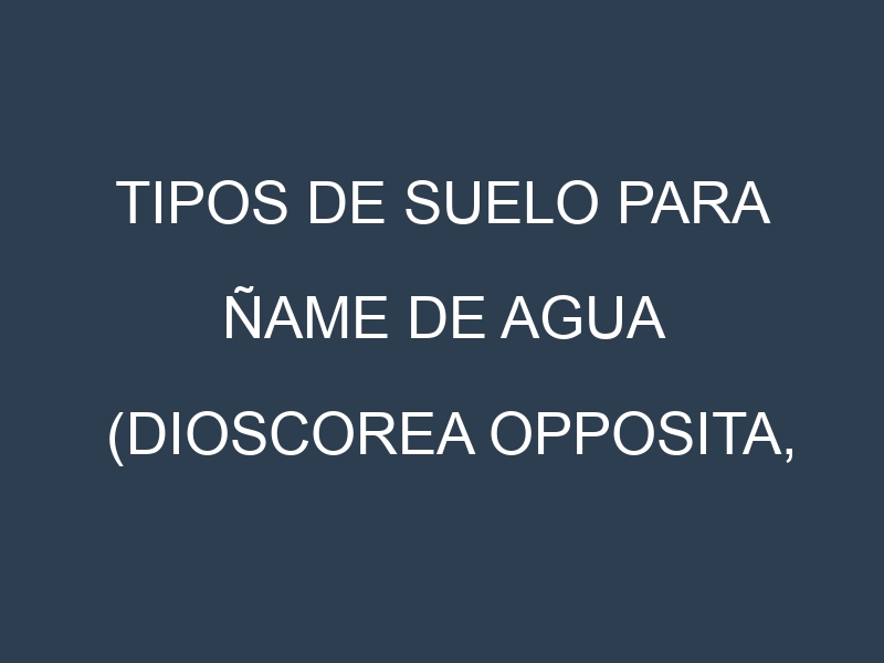 Tipos de suelo para Ñame de agua (Dioscorea opposita, Cinnamon Yam, Chinese Yam, Dioscorea polystachya, Dioscorea japonica). Cómo ajustar las condiciones del suelo.