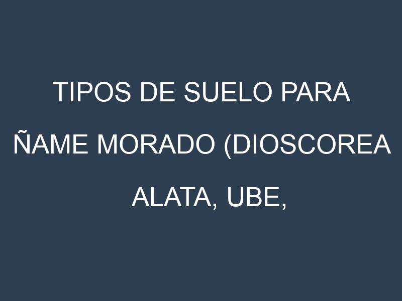 Tipos de suelo para Ñame morado (Dioscorea alata, Ube, Purple Yam, Dioscorea Esculenta, Malanga). Cómo ajustar las condiciones del suelo.