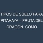 Tipos de suelo para Pitahaya – Fruta del dragón. Cómo ajustar las condiciones del suelo.