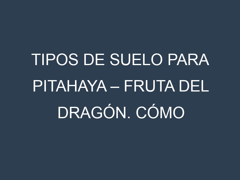Tipos de suelo para Pitahaya – Fruta del dragón. Cómo ajustar las condiciones del suelo.