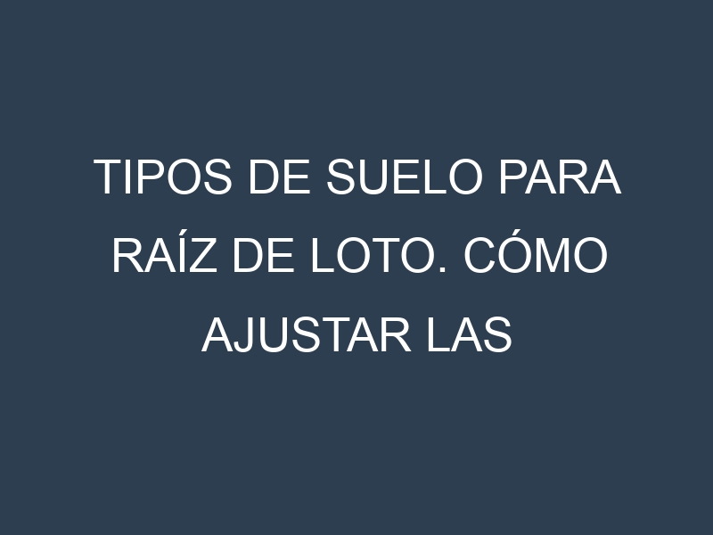 Tipos de suelo para Raíz de loto. Cómo ajustar las condiciones del suelo.