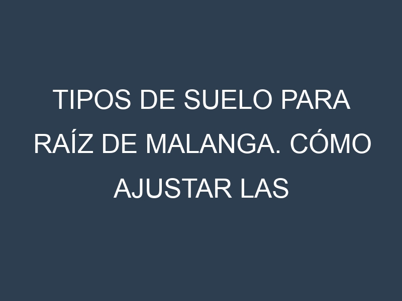Tipos de suelo para Raíz de malanga. Cómo ajustar las condiciones del suelo.
