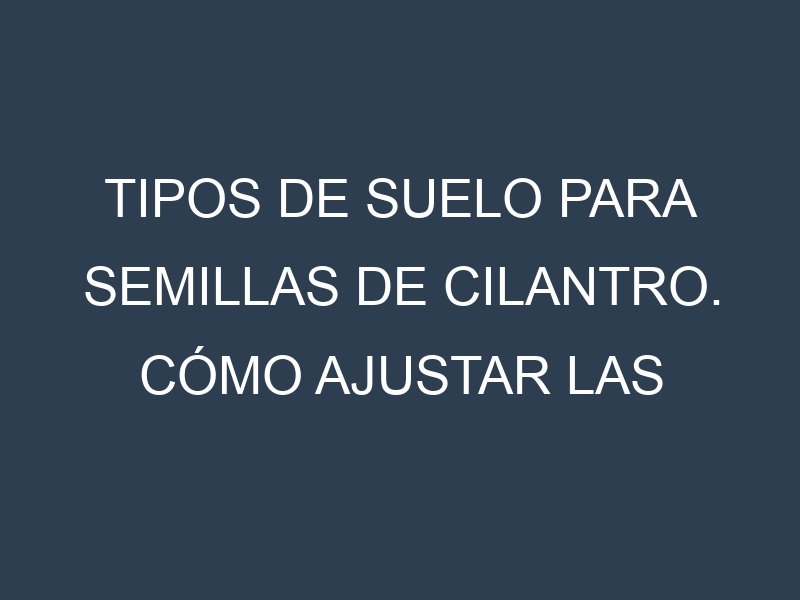 Tipos de suelo para Semillas de cilantro. Cómo ajustar las condiciones del suelo.