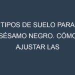 Tipos de suelo para Sésamo negro. Cómo ajustar las condiciones del suelo.