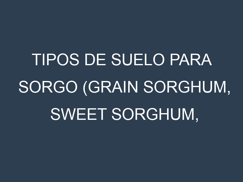 Tipos de suelo para Sorgo (Grain sorghum, Sweet sorghum, Forage sorghum, Biomass sorghum, Milo). Cómo ajustar las condiciones del suelo.