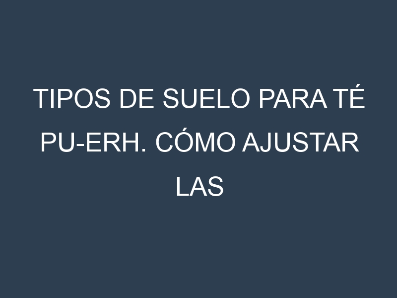 Tipos de suelo para Té pu-erh. Cómo ajustar las condiciones del suelo.