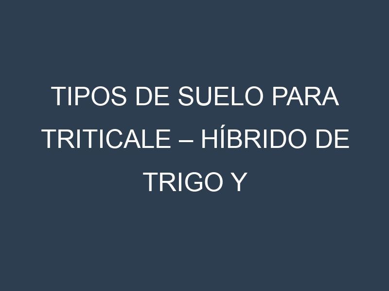 Tipos de suelo para Triticale – Híbrido de trigo y centeno. Cómo ajustar las condiciones del suelo.