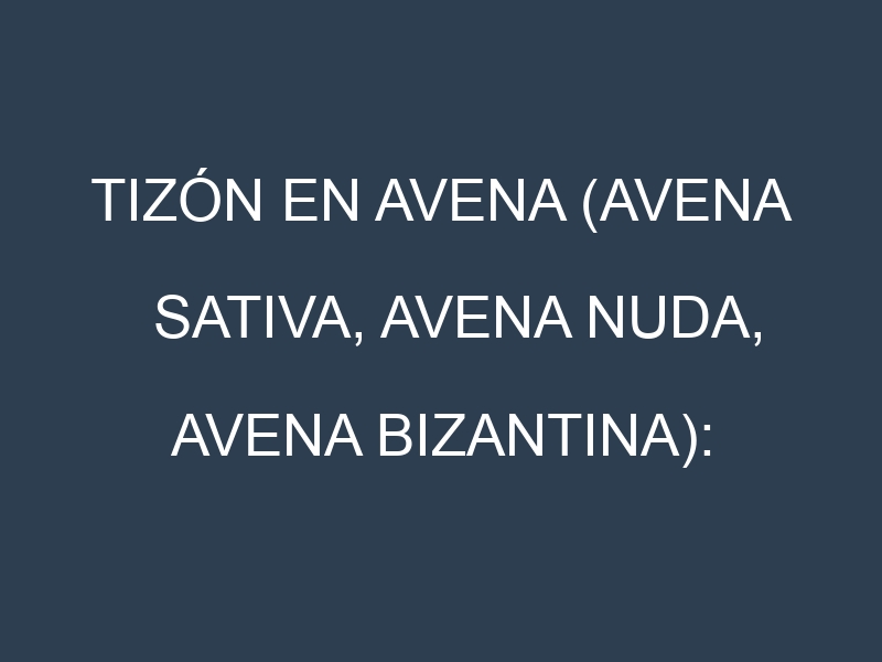 Tizón en Avena (Avena sativa, Avena nuda, Avena bizantina): Causas, Síntomas y Estrategias de Control en Cultivos
