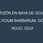 Tizón en Baya de goji (Lycium barbarum, Goji rojo, Goji común): Causas, Síntomas y Estrategias de Control en Cultivos
