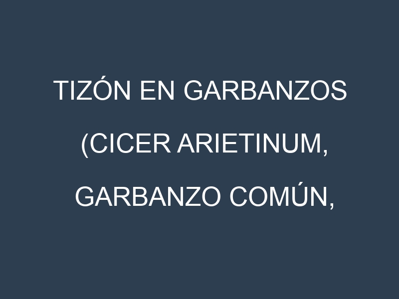 Tizón en Garbanzos (Cicer arietinum, Garbanzo común, Garbanzo de oído): Causas, Síntomas y Estrategias de Control en Cultivos