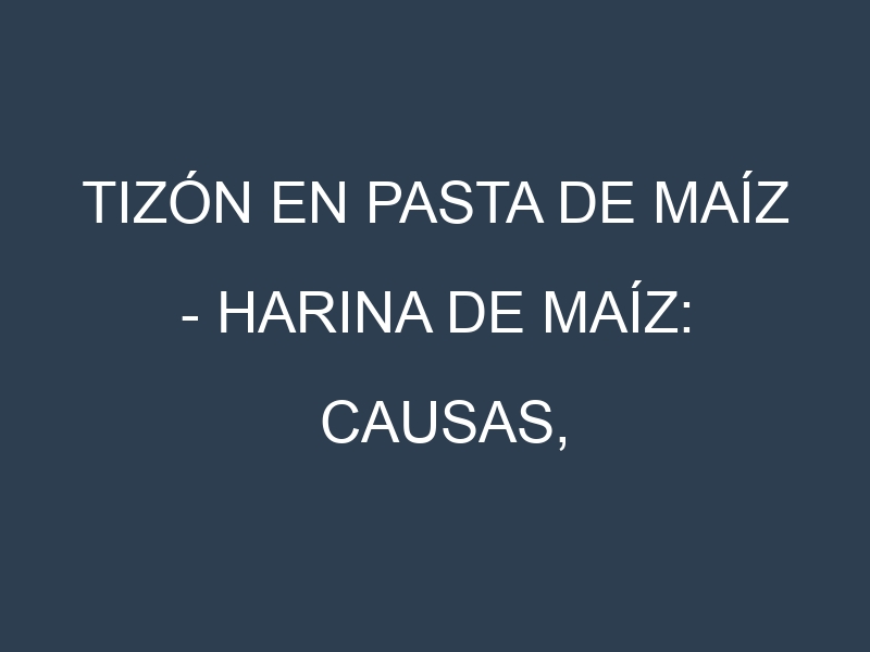 Tizón en Pasta de maíz – Harina de maíz: Causas, Síntomas y Estrategias de Control en Cultivos