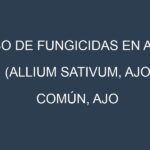 Uso de Fungicidas en Ajo (Allium sativum, Ajo común, Ajo morado): Todo lo que Necesitas Saber
