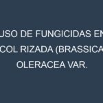 Uso de Fungicidas en Col rizada (Brassica oleracea var. sabellica, Kale, Col rizada verde): Todo lo que Necesitas Saber