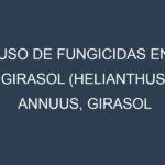 Uso de Fungicidas en Girasol (Helianthus annuus, Girasol común, Girasol gigante): Todo lo que Necesitas Saber