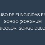 Uso de Fungicidas en Sorgo (Sorghum bicolor, Sorgo dulce, Sorgo forrajero): Todo lo que Necesitas Saber