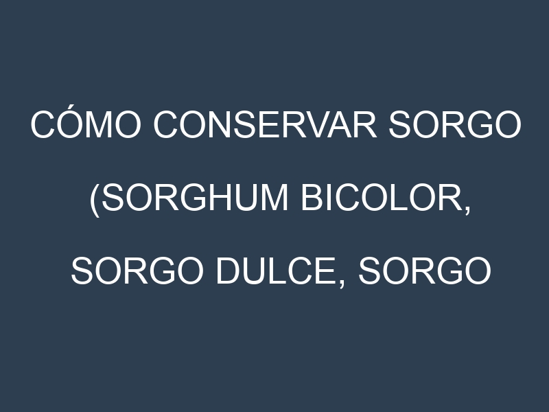 Cómo conservar Sorgo (Sorghum bicolor, Sorgo dulce, Sorgo forrajero).