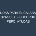 Ayudas para el Calabaza espagueti – Cucurbita pepo. Ayudas para el cultivo. Subvenciones.