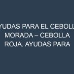Ayudas para el Cebolla morada – Cebolla roja. Ayudas para el cultivo. Subvenciones.