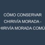 Cómo conservar Chirivía morada – Chirivía morada común.