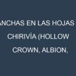 Manchas en las hojas de Chirivía (Hollow Crown, Albion, White Gem, Lancer, Cobham Marrow): Identificación, Causas y Estrategias de Control Efectivo
