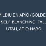 Mildiu en Apio (Golden Self Blanching, Tall Utah, Apio-nabo, Tango): Causas, Síntomas y Estrategias de Control en Cultivos