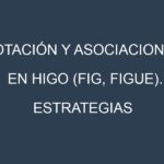 Rotación y Asociaciones en Higo (Fig, figue). Estrategias de rotación y Beneficios de las asociaciones de cultivos.