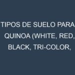 Tipos de suelo para Quinoa (White, Red, Black, Tri-color, Rainbow). Cómo ajustar las condiciones del suelo.