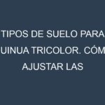 Tipos de suelo para Quinua tricolor. Cómo ajustar las condiciones del suelo.