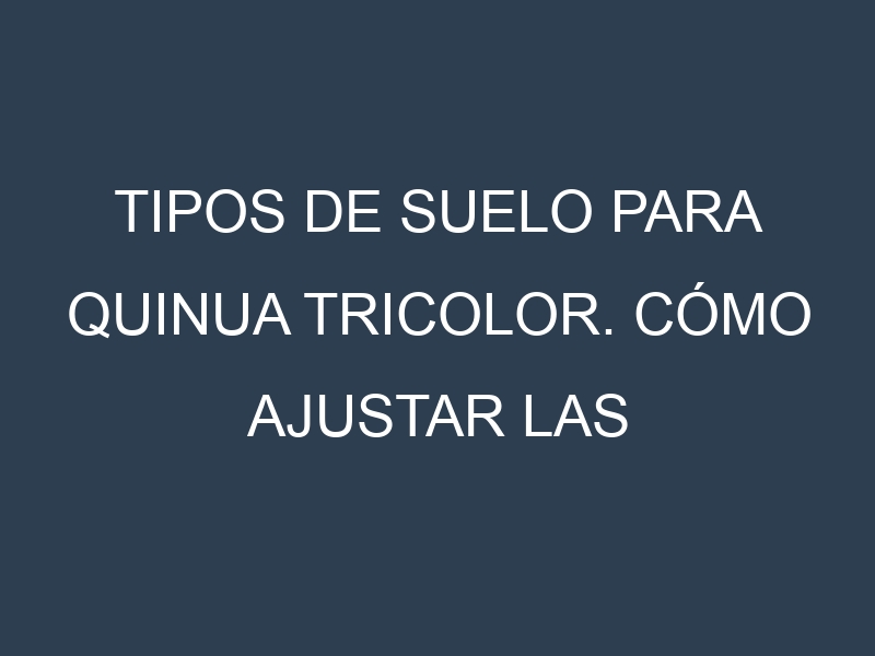 Tipos de suelo para Quinua tricolor. Cómo ajustar las condiciones del suelo.