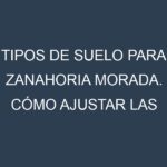 Tipos de suelo para Zanahoria morada. Cómo ajustar las condiciones del suelo.