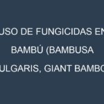 Uso de Fungicidas en Bambú (Bambusa vulgaris, Giant bamboo, Moso bamboo): Todo lo que Necesitas Saber