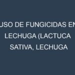 Uso de Fungicidas en Lechuga (Lactuca sativa, Lechuga romana, Lechuga iceberg): Todo lo que Necesitas Saber