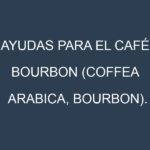 Ayudas para el Café bourbon (Coffea arabica, bourbon). Ayudas para el cultivo. Subvenciones.