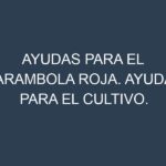 Ayudas para el Carambola roja. Ayudas para el cultivo. Subvenciones.
