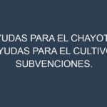 Ayudas para el Chayote. Ayudas para el cultivo. Subvenciones.