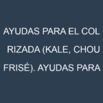 Ayudas para el Col rizada (Kale, chou frisé). Ayudas para el cultivo. Subvenciones.