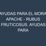 Ayudas para el Mora Apache – Rubus fruticosus. Ayudas para el cultivo. Subvenciones.