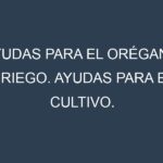 Ayudas para el Orégano griego. Ayudas para el cultivo. Subvenciones.