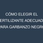 Cómo Elegir el Fertilizante Adecuado para Garbanzo negro (Cicer arietinum, black chickpea)