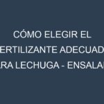 Cómo Elegir el Fertilizante Adecuado para Lechuga – Ensalada