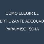 Cómo Elegir el Fertilizante Adecuado para Miso (soja fermentada)