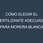 Cómo Elegir el Fertilizante Adecuado para Morera blanca (para seda)