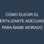 Cómo Elegir el Fertilizante Adecuado para Ñame morado (Dioscorea alata, Ube, Purple Yam, Dioscorea Esculenta, Malanga)
