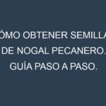 Cómo obtener semillas de Nogal pecanero. Guía paso a paso. Técnicas sencillas. Conservación.