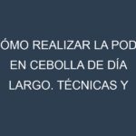 Cómo Realizar la Poda en Cebolla de día largo. Técnicas y Poda de formación.