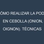 Cómo Realizar la Poda en Cebolla (Onion, oignon). Técnicas y Poda de formación.