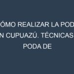Cómo Realizar la Poda en Cupuazú. Técnicas y Poda de formación.