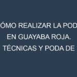 Cómo Realizar la Poda en Guayaba roja. Técnicas y Poda de formación.