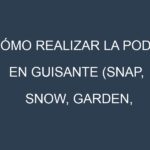 Cómo Realizar la Poda en Guisante (Snap, Snow, Garden, Marrowfat, Field). Técnicas y Poda de formación.