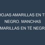 Hojas amarillas en Té negro. Manchas amarillas en Té negro